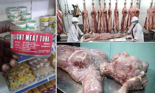 Please send this to all your contacts , it's very important . Chinese people have started producing corned beef with their dead bodies and sending them to Africa . Please stay away from corned beef irrespective of brand , most especially in Africa and from Afro-Asian grocery shops . ?? Immi Calderwood